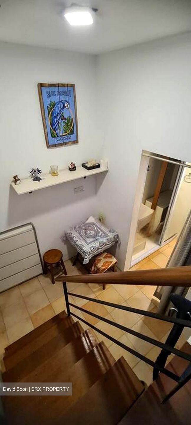 Emerald Hill Conservation Area (D9), Apartment #478161571
